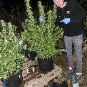 Meet your Posher, Brad